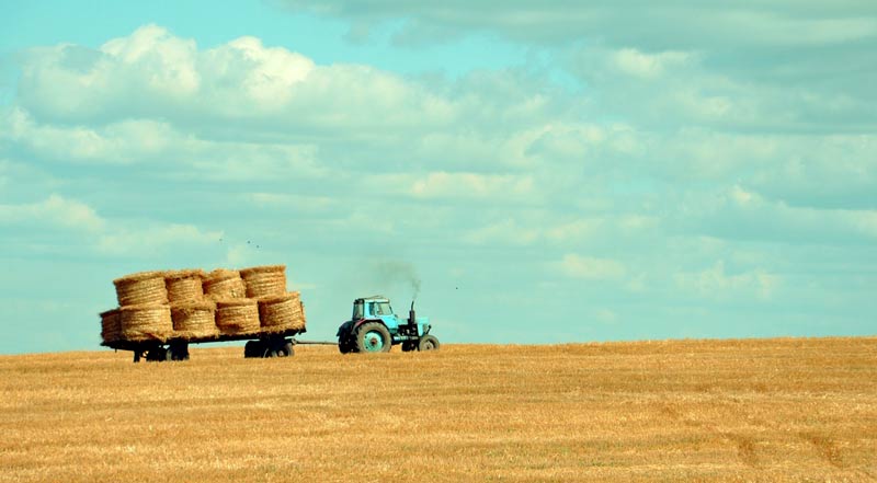 Recolte Fonds Gros Monard Monade pour la culture