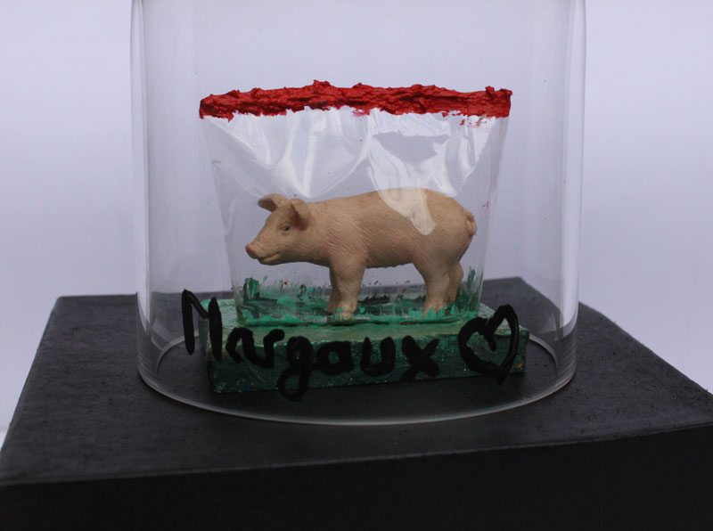 3 Cochon sous vide sur toile sous cloche sur socle Margaux Love Fonds GrosMM pour la culture