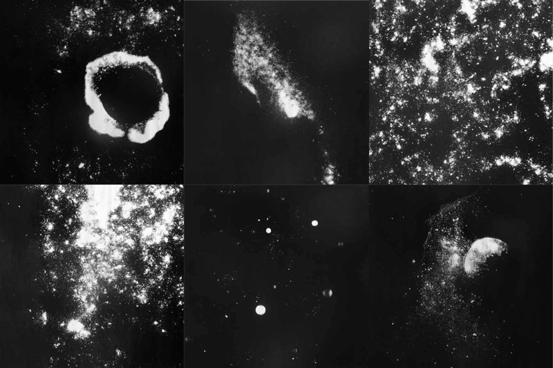 Constellations Marie Laure Gucciardi Fonds GrosMM pour la culture