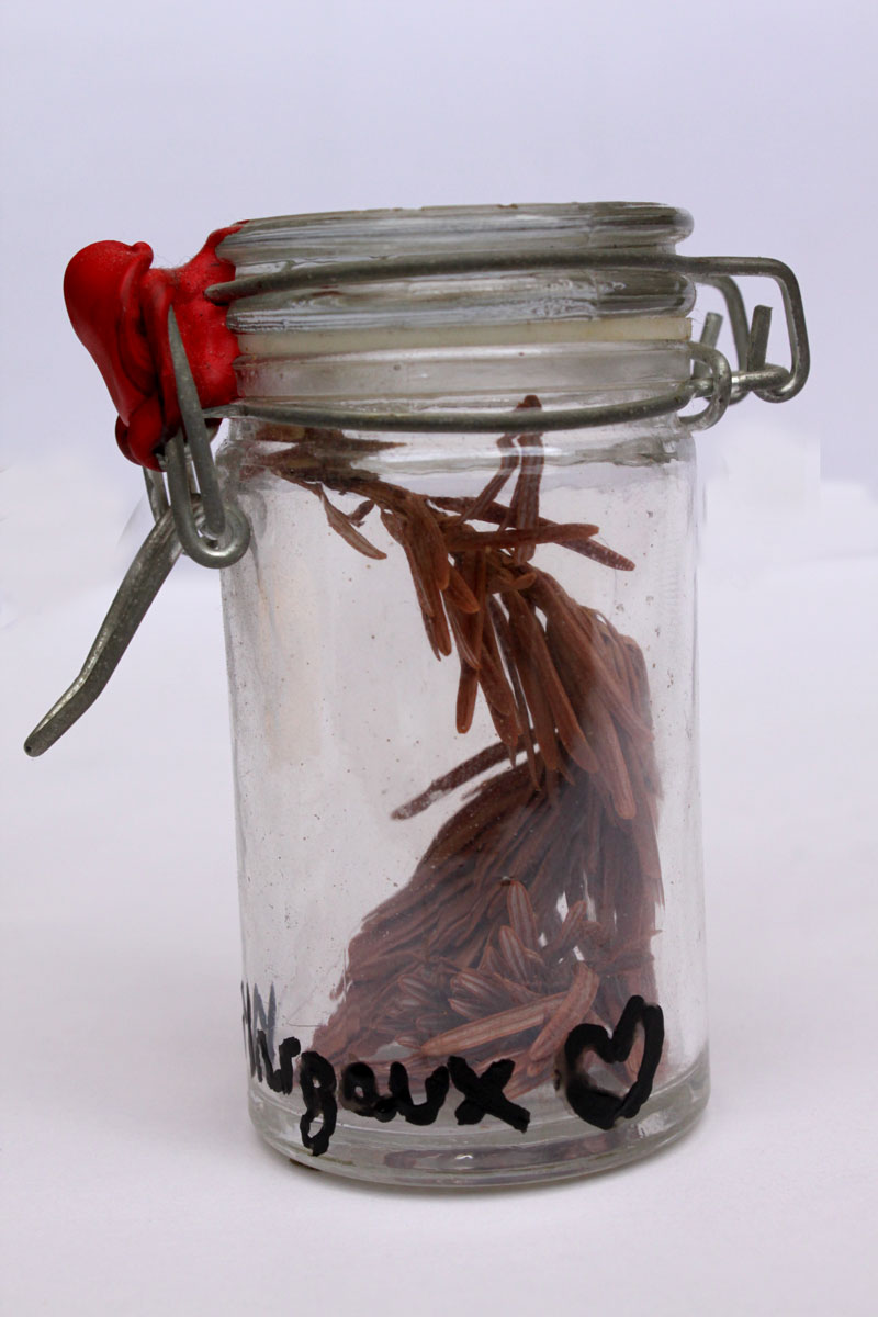 Shitstorm99 2 Margaux Love Fonds GrosMM pour la culture